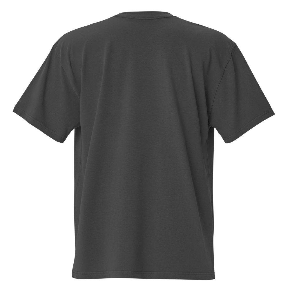Oversized T-Shirt mit verwaschenem Look SDG Zaptino