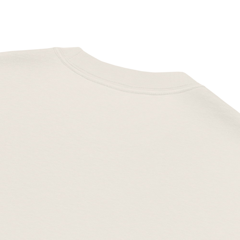 Oversized T-Shirt mit verwaschenem Look SDG Zaptino